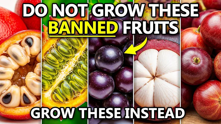 15 "Illegal" Fruits You Can't Grow in America Gardens — And What to Grow Instead