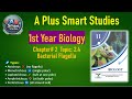 1st Year Biology Chapter 2 | Topic 2.4 | Bacterial Flagella | Structure, Function & Types | A Plus