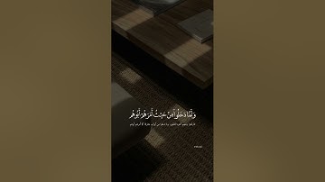 ما تيسر من سورة يوسف | تلاوة إبراهيم محمد