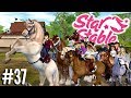 FJORD KOPEN EN EEN STAL OPKNAPPEN! | Star Stable #37