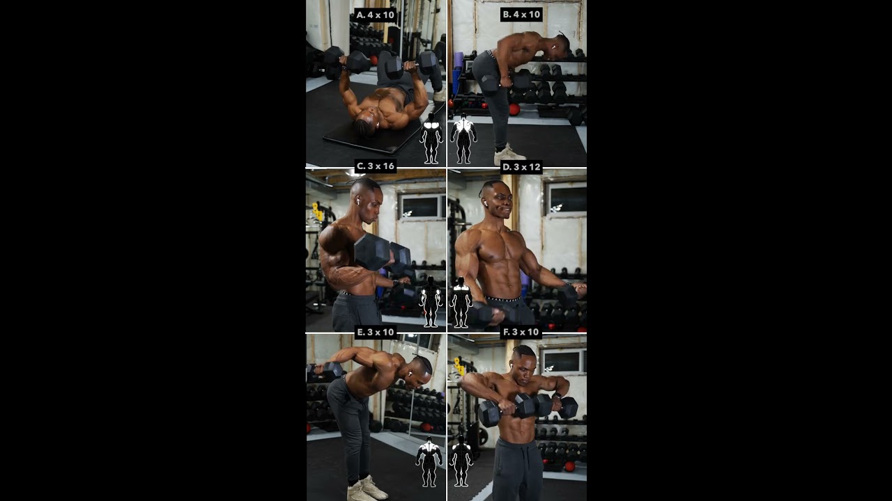 Dumbbell UPPERBODY Workout No Bench 1