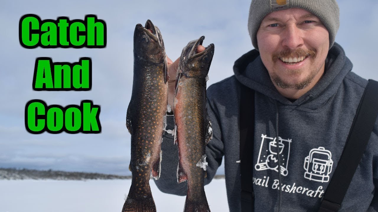 Catch And Cook / Brook Trout Through The Ice - YouTube