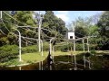 千葉市動物公園名物　フクロテナガザルの超絶技 の動画、YouTube動画。