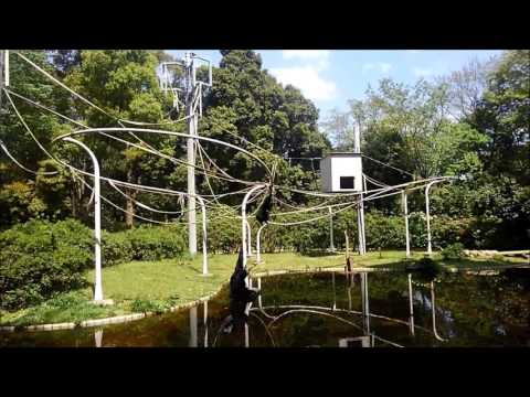 千葉市動物公園名物 フクロテナガザルの超絶技 Youtube