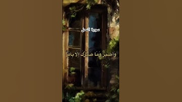 #خالد_الجليل #سورة_النحل #لايك #اكسبلور #قرآن #راحة_نفسية