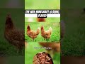 just a little food analogy #minecraft #gaming