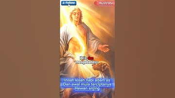 Inilah kisah nabi Adam as dan awal mula terciptanya hewan anjing #shortvidio #kiahnabiadam #islami