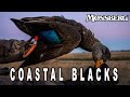 Salt marsh black ducks  the waterfowl collective