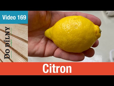 Video: Ako vysoký je citrónový cyprus?