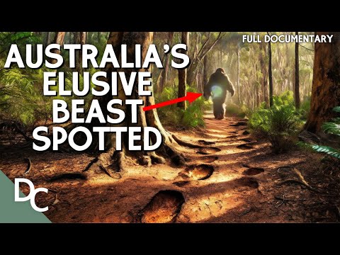 YOWIE: THE LEGEND OF THE AUSTRALIAN BIGFOOT