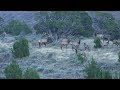 LAST DAY OF 2017 IDAHO ARCHERY ELK HUNT - EP 41 - LAND OF THE FREE
