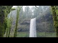 ASMR Deep relaxation, nature, birds, forest, water sounds meditation Tingle • No Talking - 24/7