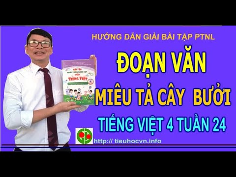 Bài tập Phát triển năng lực Tiếng Việt 4 Tuần 24 | Đoạn văn hay miêu tả cây cối