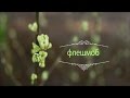 Флешмоб до Дня української мови та писемності