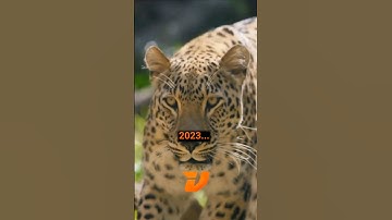 Success Is Coming Your Way | In 2024 We Take Over! #shorts #success #mindset