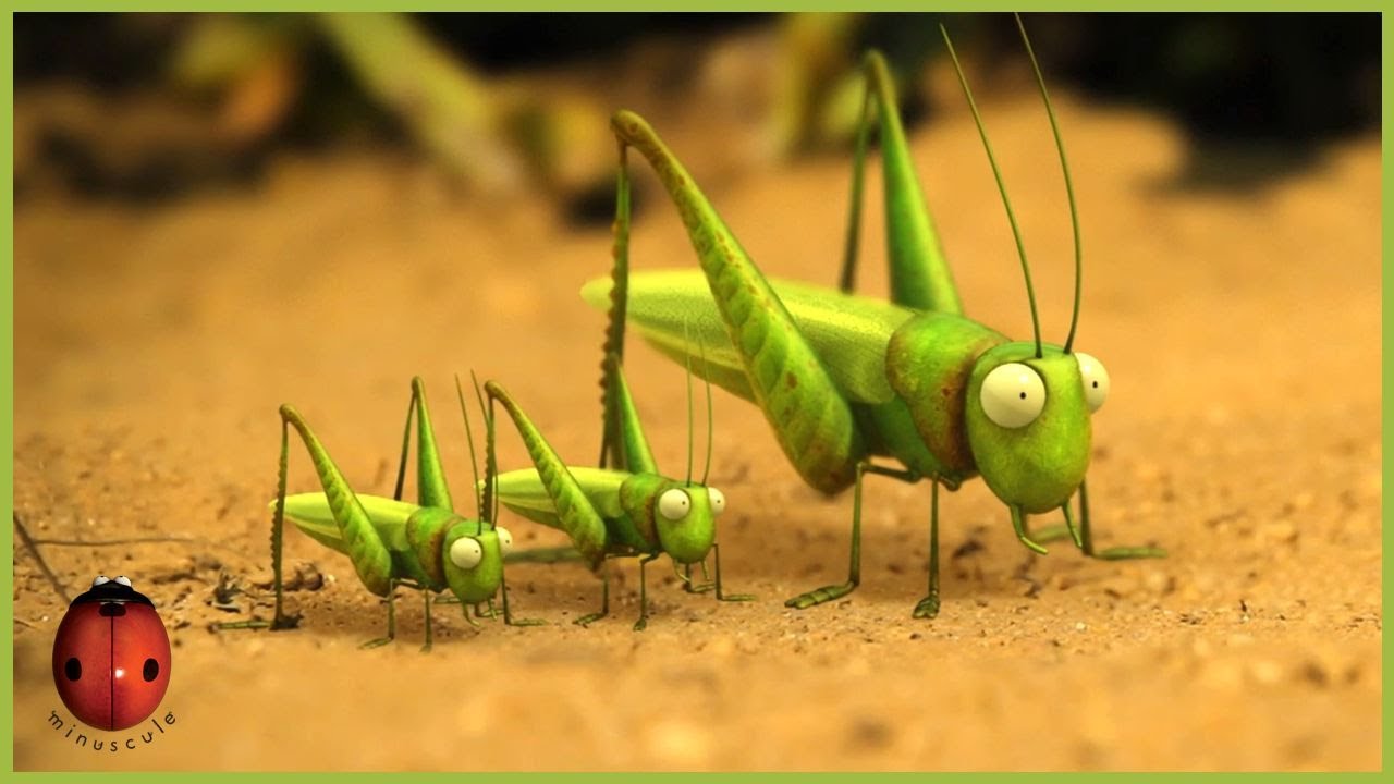 The Grasshopper Who Didn't Know How To Leap | Minuscule 🍃 40' Compilation