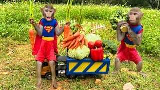 Smart Bim Bim Becomes A Superhero To Harvest Broccoli In The Farm