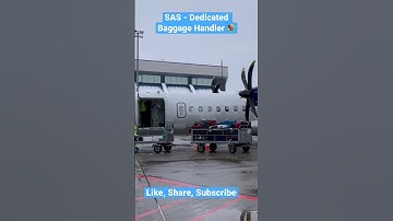 Dedicated SAS Baggage handler , TALLIN, Estonia Serving the purpose