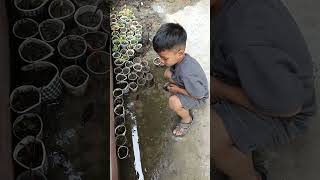 Bawihtea hi a taima a nia