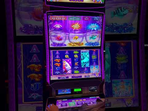 😎Este es Big Bass Bonanza y 20 mil pesos argentinos. Casino Online Argentina dinero real: cómo ganar