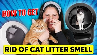 How To Get Rid Of Cat Litter Smell The Secret To Keeping Your Litter Box Fresh Daily