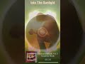 Into The Sunlight | CD: Hintergrundmusik, Vol.  3 (Lizenzfreie Musik für Social Media) [60s Trailer]
