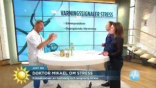 Så vet du om du är för stressad  - Nyhetsmorgon (TV4)