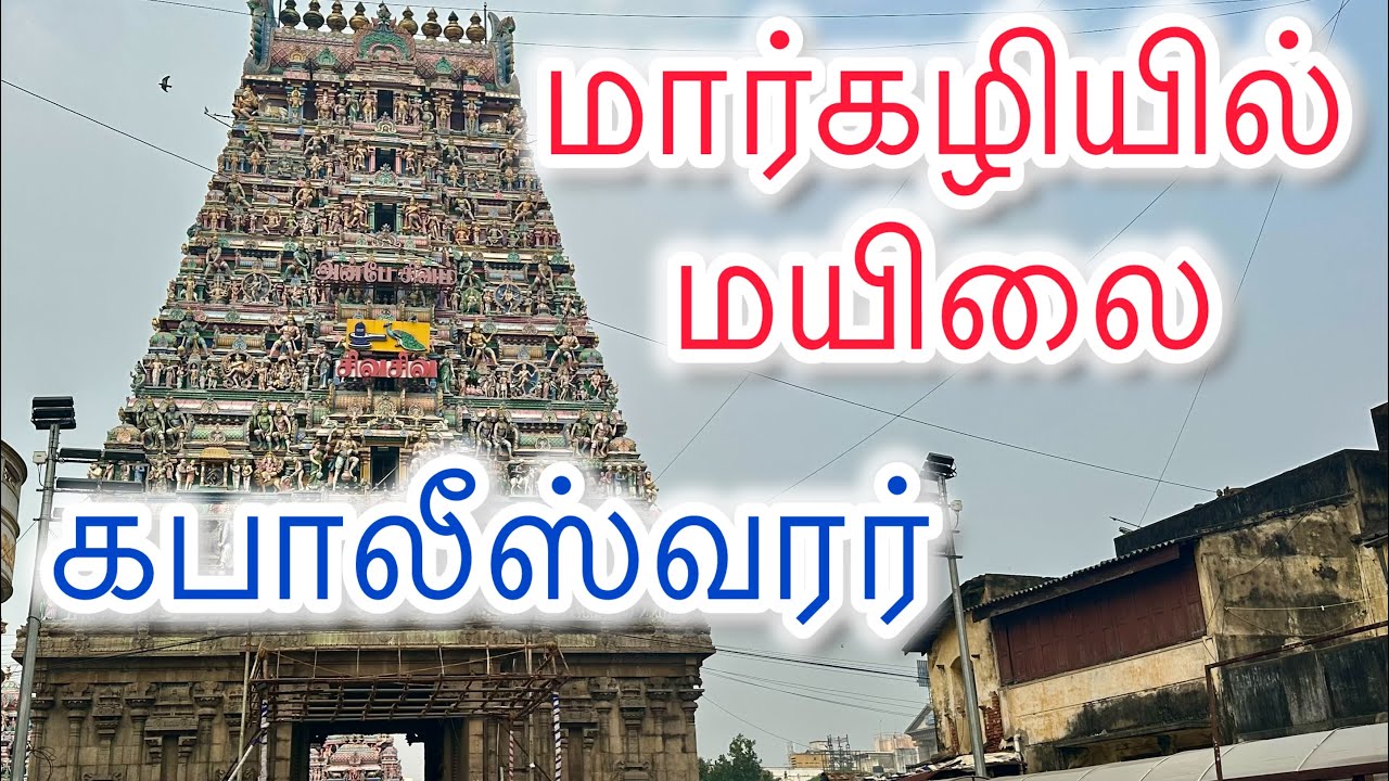 Margazhi Morning Vibes | Mylapore Kapaleeswarar Temple  |மயிலாப்பூர் கபாலீஸ்வரர் | திருவாசகம்