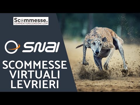 ?Cani virtuali Snai: le scommesse virtuali cani e levrieri