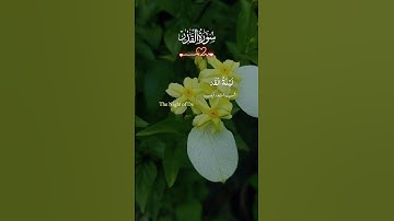 Surah Al-Qadr #سورة القدر #سلام
