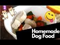 How to make homemade dog food for puppies | cute pomeranians reaction!