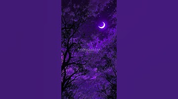 💖 تلاوة خاشعة من القرآن الكريم تهز القلوب ✨📖
