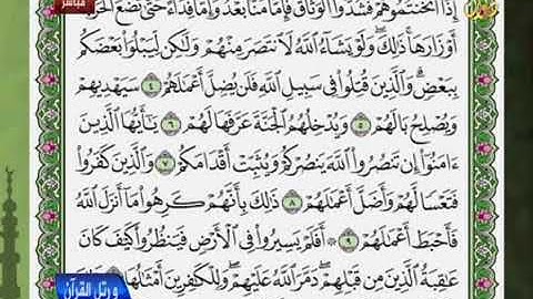 سورة ( محمد )للشيخ ضياء عبد اللطيف المرعي