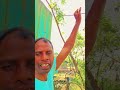 Dari nari 💗 # New santali # christian # jesus song ✝️🙏