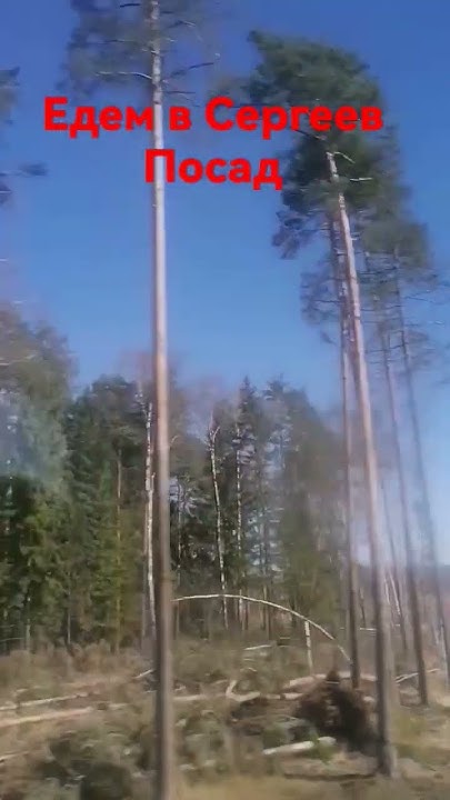 Сергеев посад - YouTube