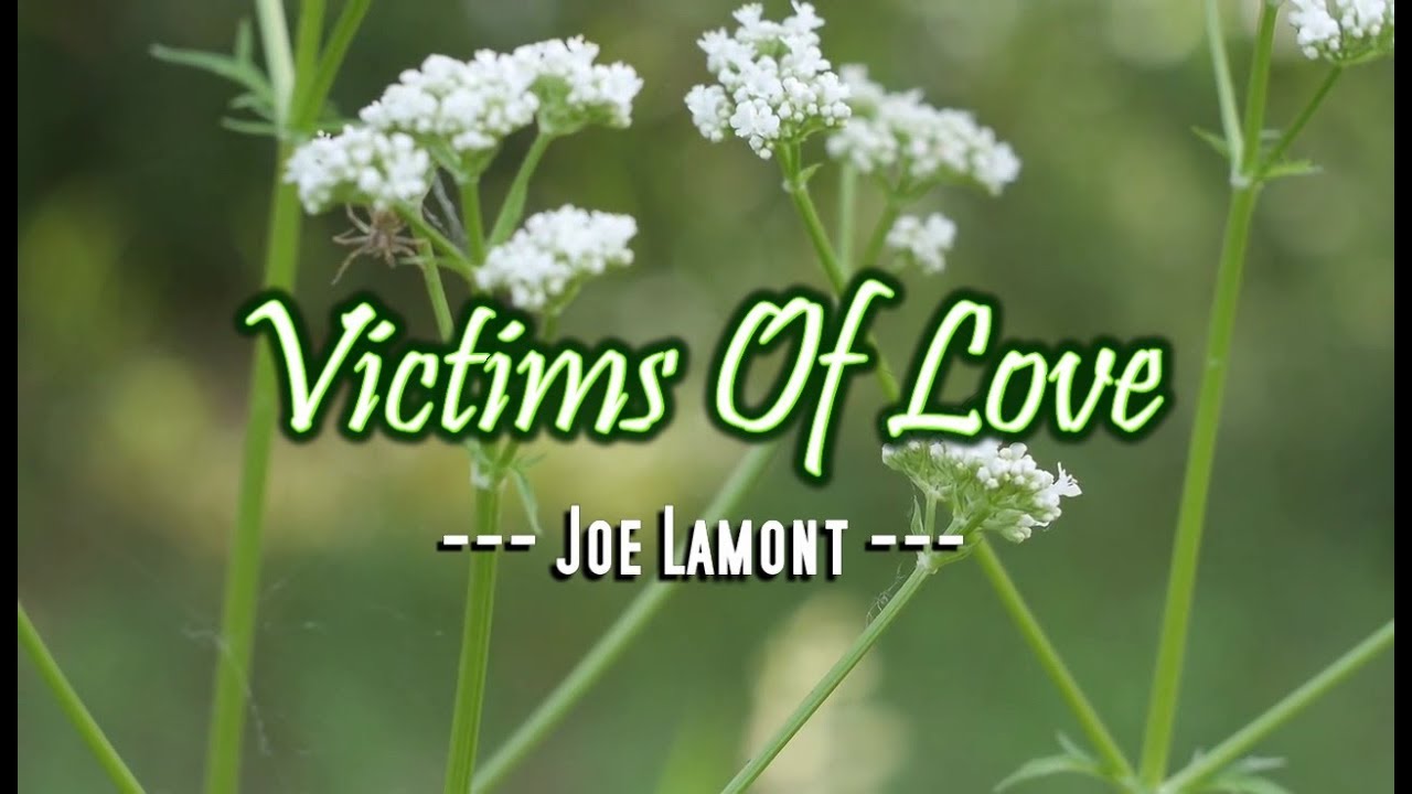 ⁣Victims of Love - Joe Lamont (KARAOKE VERSION)