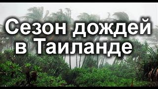 #47. Сезон дождей в Таиланде, о.Самуи. Как это выглядит