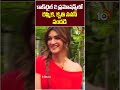 కాక్‌టైల్ 2 ప్రమోషన్స్ లో రష్మిక, కృతి సనన్ సందడి #cocktail2 #rashmikamandanna #kritisanon #ytshorts
