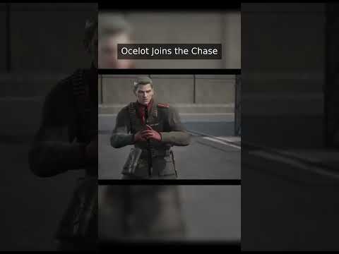 Ocelot Joins the Chase
