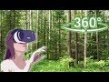 Панорамное Видео 360 VR 4K для очков виртуальной реальности Прогулка по лесу. Релакс.Samsung gear360
