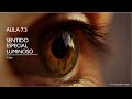 Videoaula 7.3 Sentido luminoso