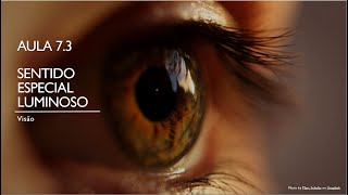 Videoaula 7.3 Sentido luminoso