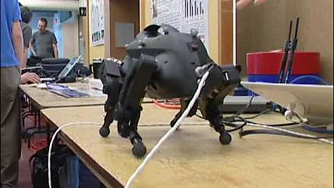 Dynamic Walking 2009