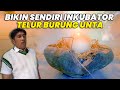 DEMI TELUR BURUNG UNTA, RELA BIKIN INKUBATOR KHUSUS TELUR BURUNG UNTA..!!