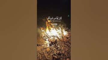 سورة النجم /الشيخ محمد اللحيدان #explorepage #تصويري #راحة_نفسية #محمد_اللحيدان