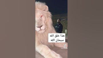 #quran #اكسبلور #تيك_توك #تلاوة_خاشعة #ترند_تيك_توك #ترند #خيل #لايك #قصص #اسد_الفوركس