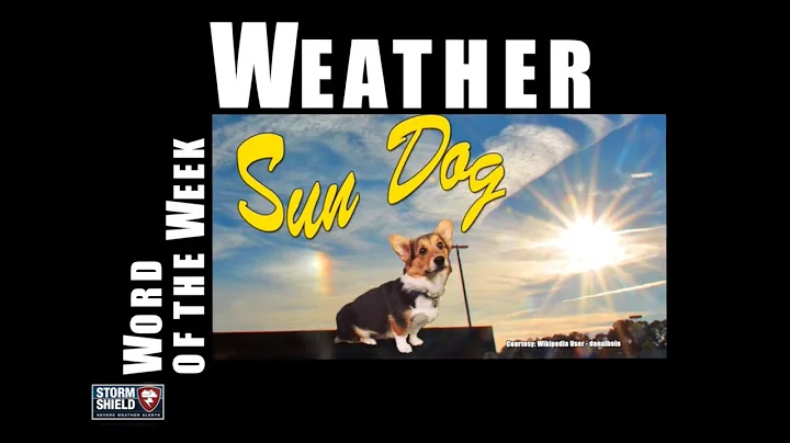 What is a sun dog? | Weather Word of the Week - DayDayNews
