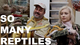 TOURING A REPTILE ZOO WITHOUT CAUTION