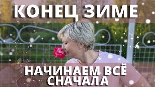 ВОССТАНАВЛИВАЮ РОЗЫ ПОСЛЕ ЗАМОРОЗКОВ. 19 мая 2024 г.