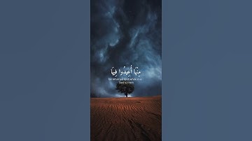 حالات واتس اب|وأما الذين فسقوا فمأواهم النار،القارئ عبد الرحمن مسعد 🤍🫀
